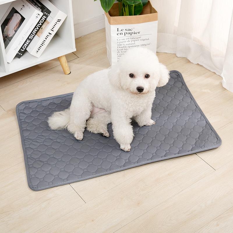 Reusable Dog Pee Pad Blanket A - đánh giá và giá Carriage Bed